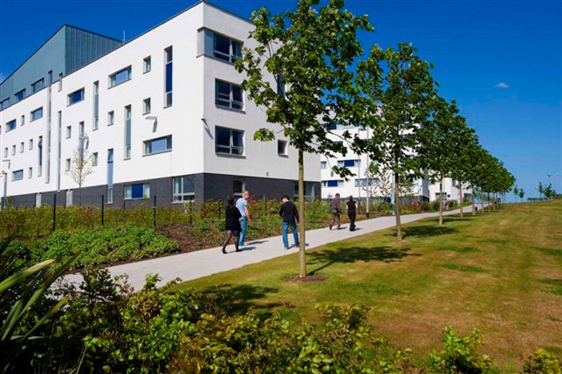 QMU Accommodation Buildings.JPG